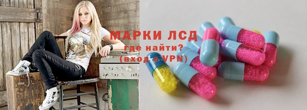 PSILOCYBIN Алзамай
