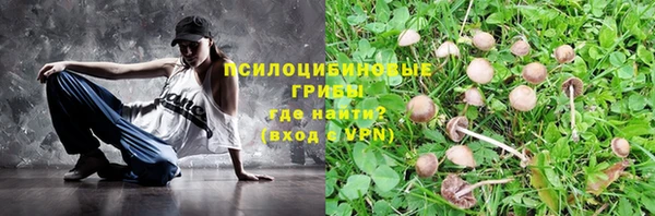 прущие грибы Алексин
