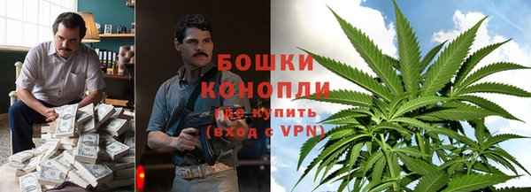 прущие грибы Алексин