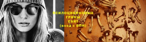 прущие грибы Алексин