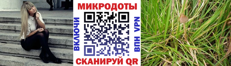 Псилоцибиновые грибы Psilocybe это клад Чёрмоз